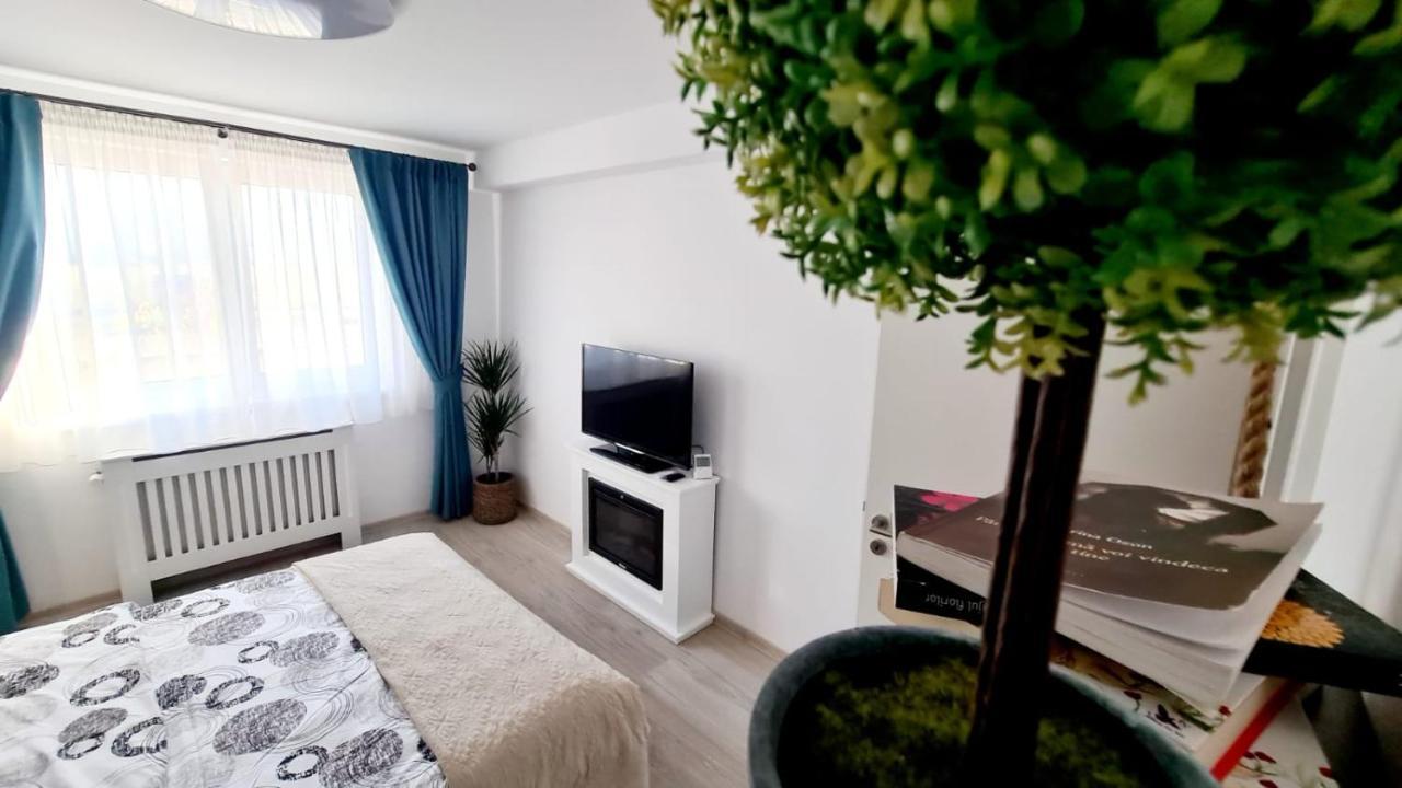 Cozy Studio Apartamento Braşov Exterior foto